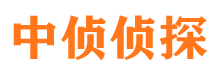 讷河小三调查